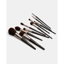 Brush Set in Case CHOCOLATE