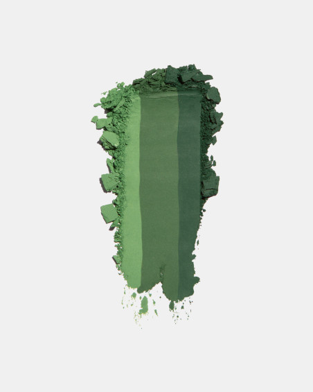 Ombre à paupières FREEDOM SYSTEM RAINBOW MATTE NF