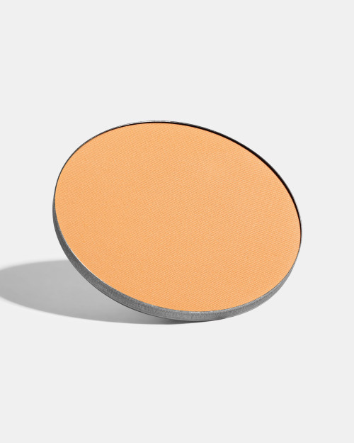 Poudre compacte FREEDOM SYSTEM Satin Skin