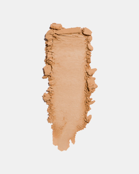 Poudre compacte FREEDOM SYSTEM Perfect Finish