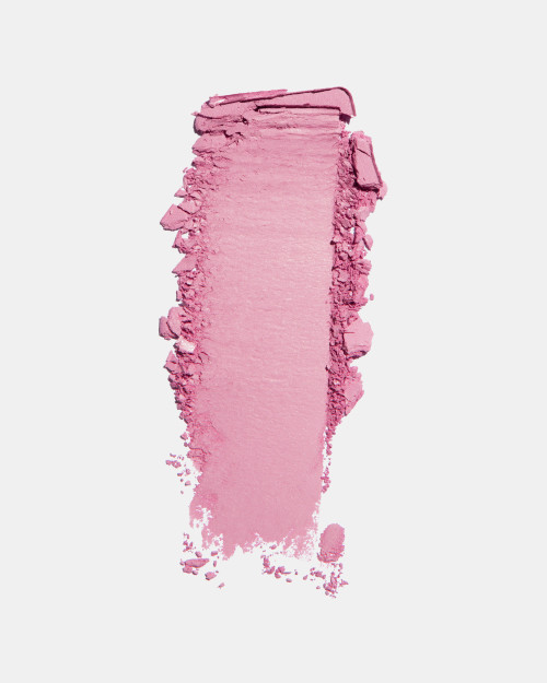 Fard à joues FREEDOM SYSTEM Radiant Skin