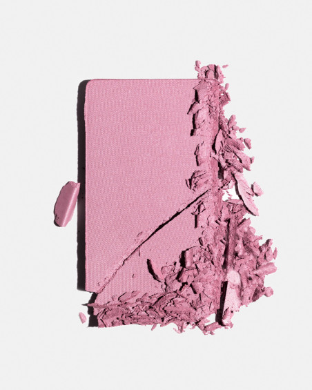 Fard à joues FREEDOM SYSTEM Radiant Skin