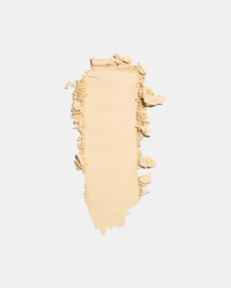 Freedom System Mattifying Pressed Powder 3S NF